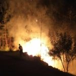 KOZAN GEDİKLİ KÖYÜNDE 10 DÖNÜM ORMANLIK ALAN YANDI