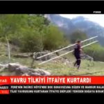 YAVRU TİLKİYİ İTFAİYE KURTARDI