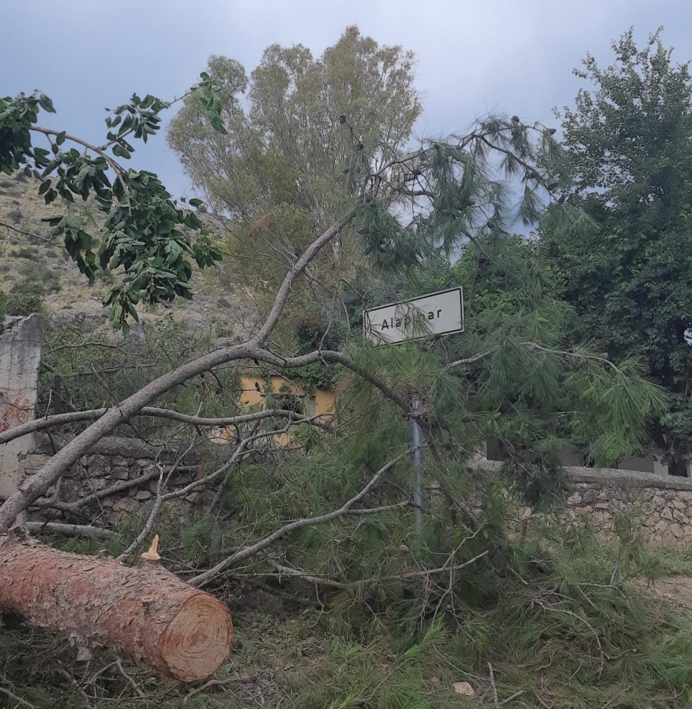 Alapınar Köyünde etkili olan fırtına ekili alanlara zarar verdi . Eski köy okulundaki çamlar devrildi