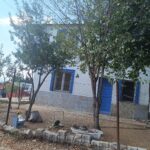 SAVRUK YAYLASIN’NDA EV SAHİBİ–KİRACI TARTIÅžMASI KANLI BİTTİ: 1 ÖLÜ