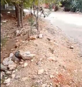 Kaza Olacak Diye Ödümüz Kopuyor