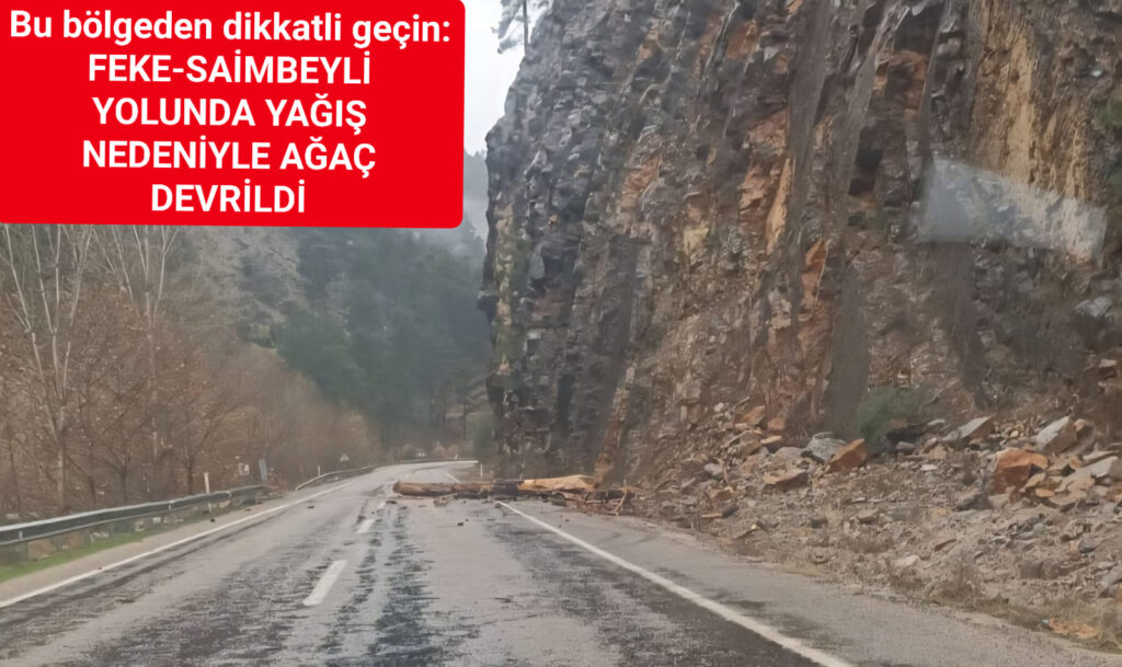 FEKE-SAİMBEYLİ YOLUNDA YAĞIŞ NEDENİYLE AĞAÇ DEVRİLDİ