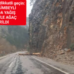 FEKE-SAİMBEYLİ YOLUNDA YAĞIŞ NEDENİYLE AĞAÇ DEVRİLDİ