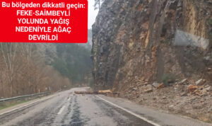 FEKE-SAİMBEYLİ YOLUNDA YAĞIŞ NEDENİYLE AĞAÇ DEVRİLDİ