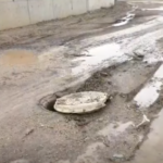 KOZAN OSB’NİN YOLLARI O KADAR BOZUK Kİ, BİR MİSAFİRİMİZ GELDİĞİNDE UTANIYORUZ