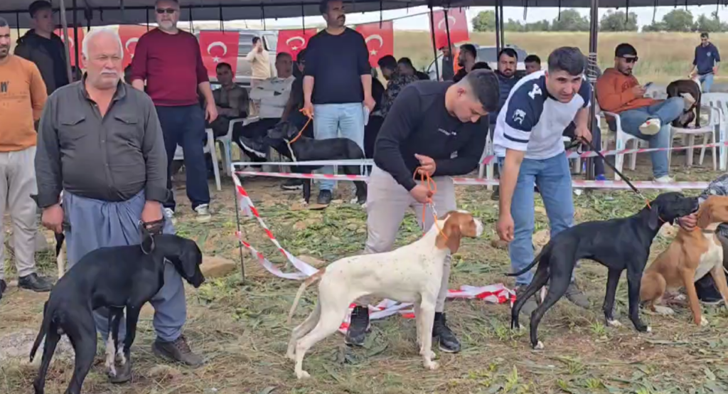 Kozan’da Avcı ve Köpeği Yarışması Büyük İlgi Gördü