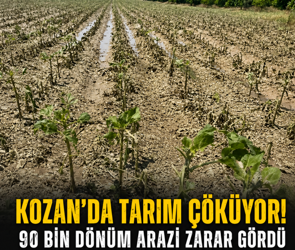 Kozan Afet Bölgesi İlan Edilmeli, 90 Bin Dönüm Arazi Zarar Gördü, Dolu ve Sel Çiftçiyi Vurdu