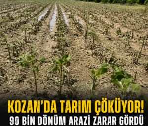 Kozan Afet Bölgesi İlan Edilmeli, 90 Bin Dönüm Arazi Zarar Gördü, Dolu ve Sel Çiftçiyi Vurdu