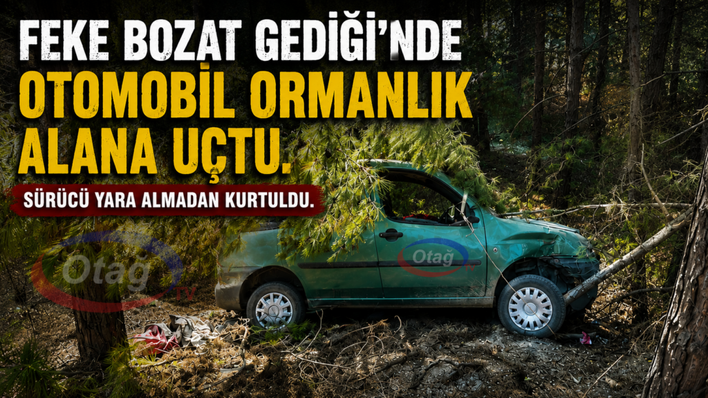 FEKE’DE KONTROLDEN ÇIKAN ARAÇ ORMANIK ALANA SAVRULDU