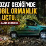 FEKE’DE KONTROLDEN ÇIKAN ARAÇ ORMANIK ALANA SAVRULDU