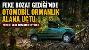 FEKE’DE KONTROLDEN ÇIKAN ARAÇ ORMANIK ALANA SAVRULDU