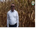 MISIR FİYATI BİR AN ÖNCE AÇIKLANSIN