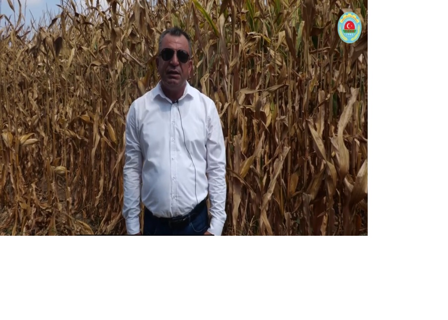 MISIR FİYATI BİR AN ÖNCE AÇIKLANSIN