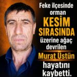 FEKE’DE ORMAN KESİMİNDE FECİ SON: MURAT ÜSTÜN HAYATINI KAYBETTİ
