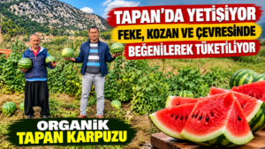 TAPAN’DA YETİŞİYOR, FEKE, KOZAN VE ÇEVRESİNDE BEĞENİYLE TÜKETİLİYOR